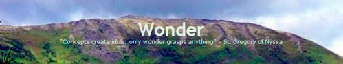 Wonder Blog